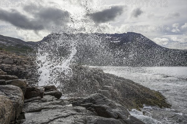 Blowhole on the coast