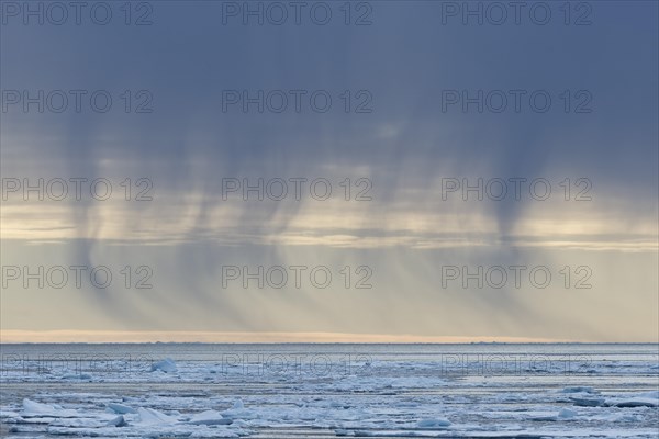 Snow shower from dark clouds