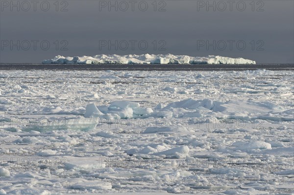 Iceberg