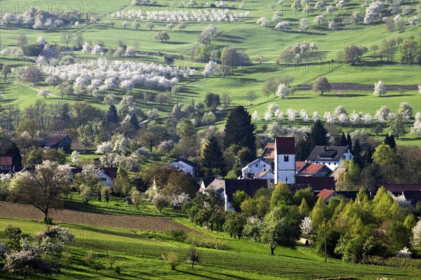 Townscape