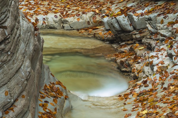Autumn in the Tauglschlucht gorge