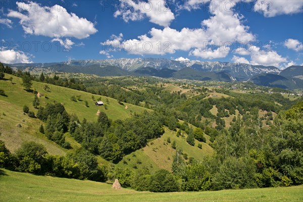 Mountain landscape with meadows in front of mountains