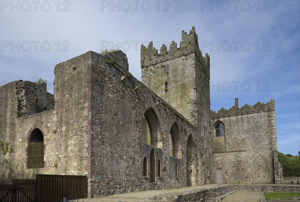 Ruins of Tintern Abbey