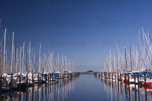 Sailboats in the marina