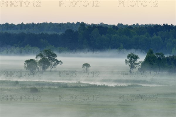 Landscape in morning mist