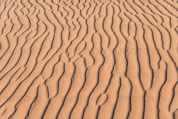 Wave pattern in the sand