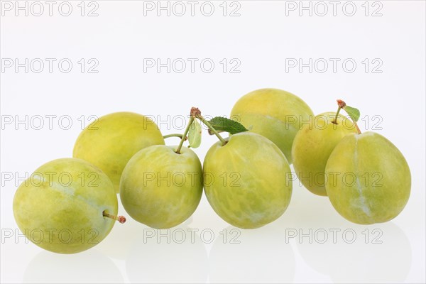 Ontario plums