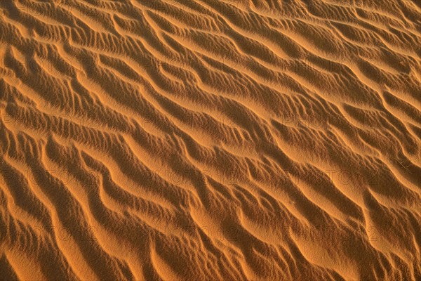 Sand ripples