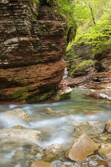 Stream of the Taugl river