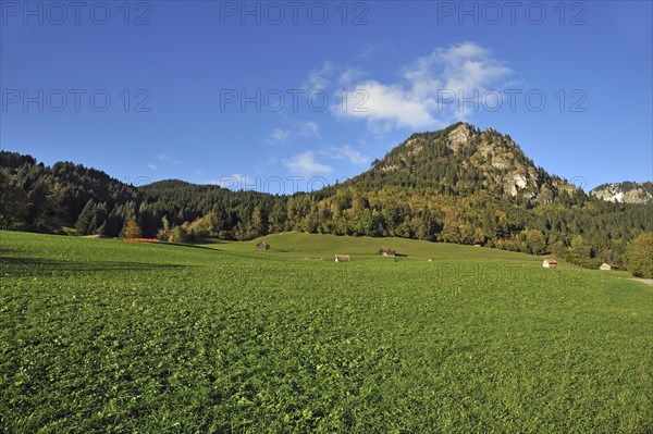 Mt Hirschberg