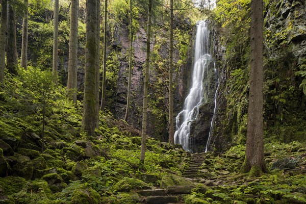 Waterfall in the forest