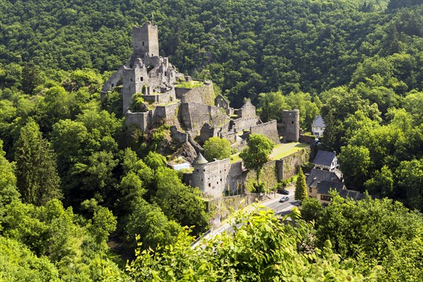 Manderscheid's Niederburg Castle