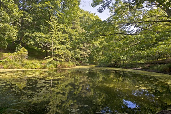 Rock Poit Pond