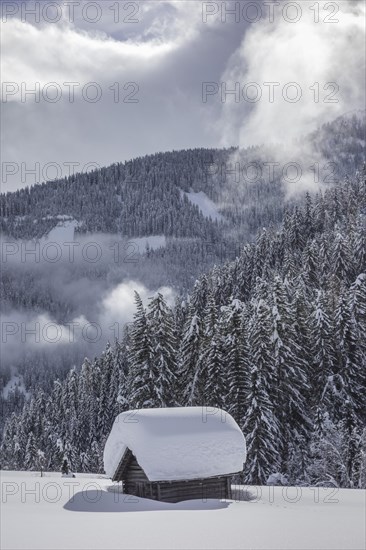 Wooden hut covered with a lot of snow