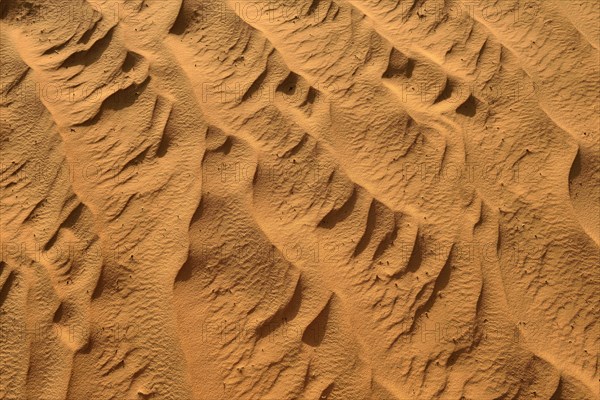 Sand ripples