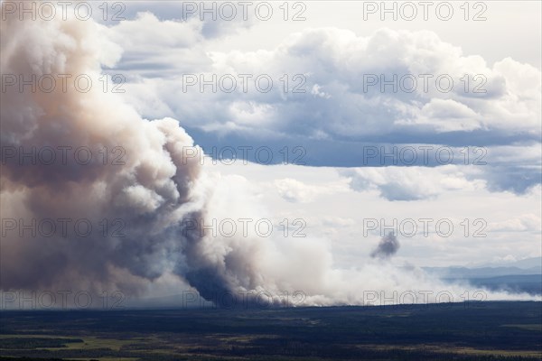 Forest fire after lightning stroke