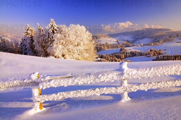 Appenzell winter landscape in evening light with view on the Santis