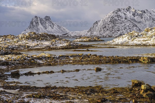 Coastline with rocks