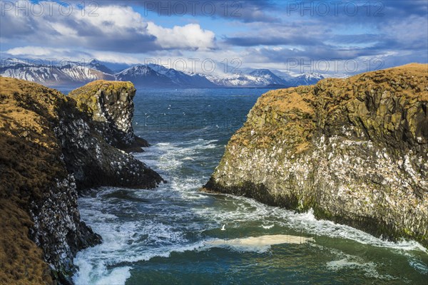 Cliff near Anarstapi