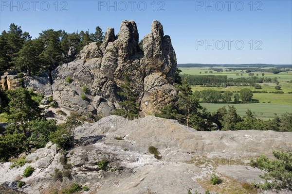 Hamburger Wappen' sandstone formations