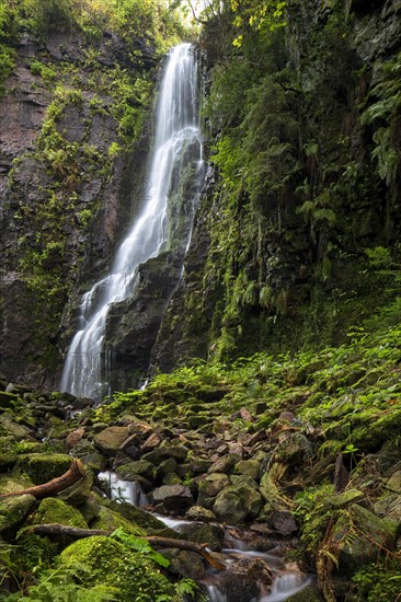 Waterfall in the forest