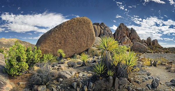 Huge granite rocks of Split Rocks and green Mojave Yucca or Spanish Dagger (Yucca schidigera)