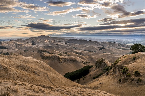 Te Mata Peak