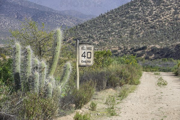 Wooden sign