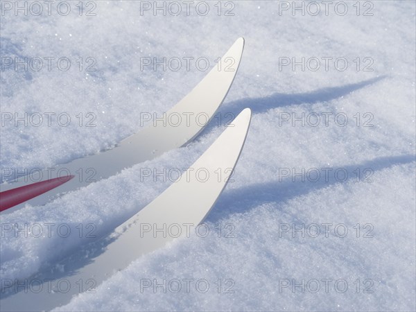 Cross-country skis