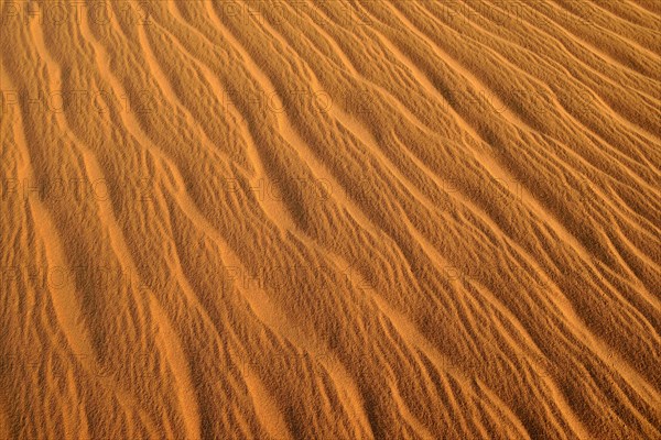 Sand ripples