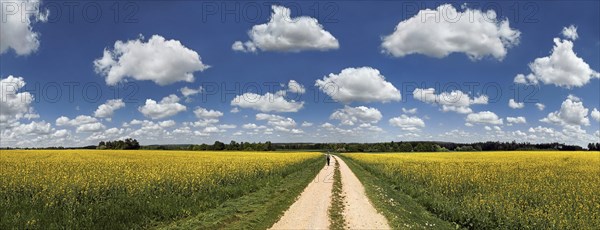 Hiker on a dirt track