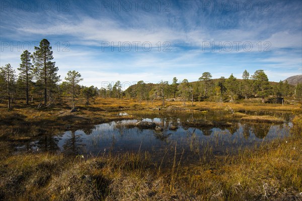 Lake in Anderdalen National Park