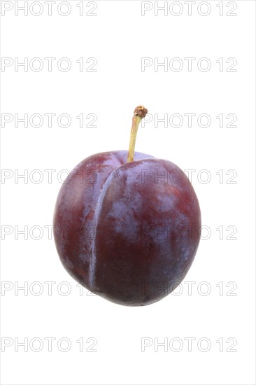 Plum