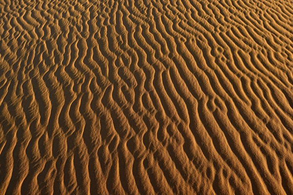 Sand ripples