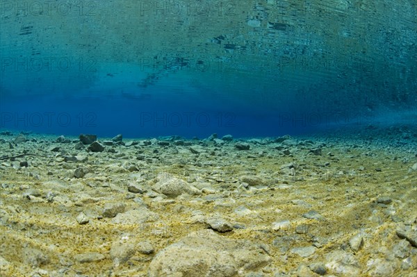 Underwater view