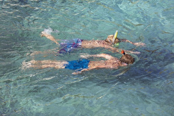 Snorkelers