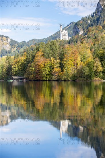 Alpsee lake with Schloss Neuschwanstein Castle in autumn