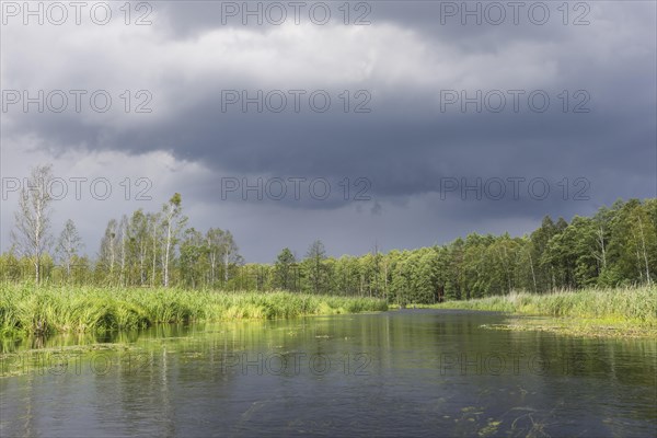 The Krutynia River near Ruciane-Nida