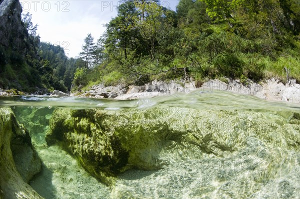 Otscherbach stream in Otschergraben gorge