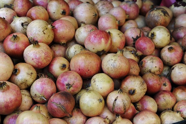 Pile of pomegranates
