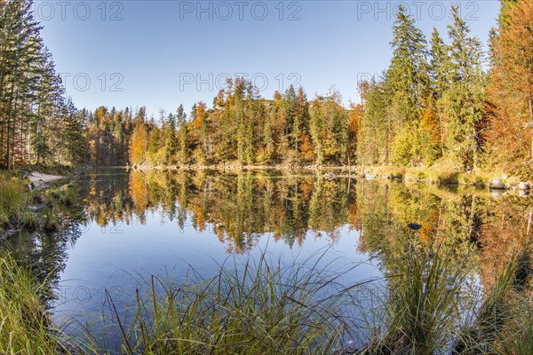 Autumn mood