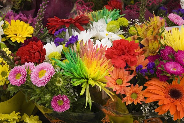 Bouquets of gerbera