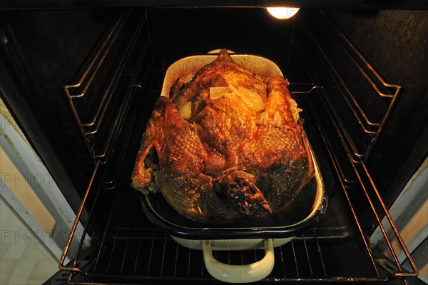 Ready roast duck with onions in the oven