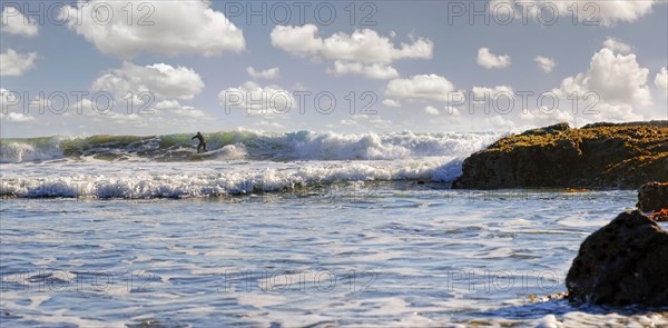 Surfer in the surf on the Pacific beach near Cambria