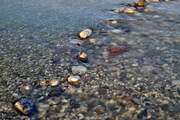 Rocks in the Tagliamento braided river