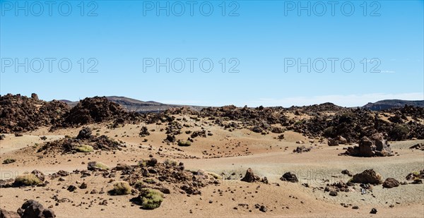 Volcanic landscape surrounding the Pico del Teide