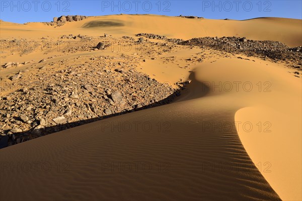 Dunes Noires