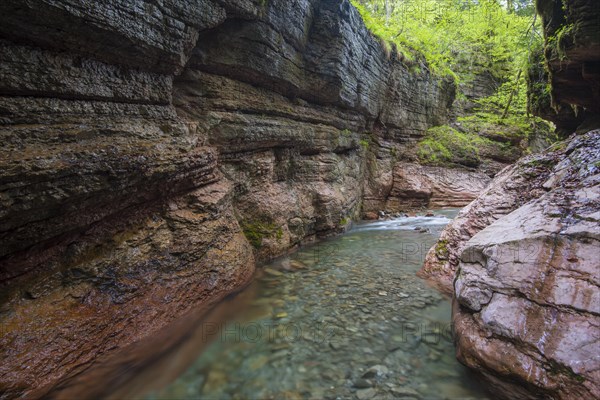 Stream of the Taugl river