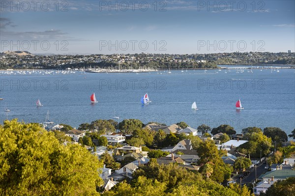 Sailing boats at Waitemata Harbour