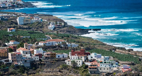 Houses and banana plantations